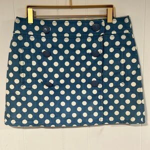 J.crew light blue polka dot skirt size 6